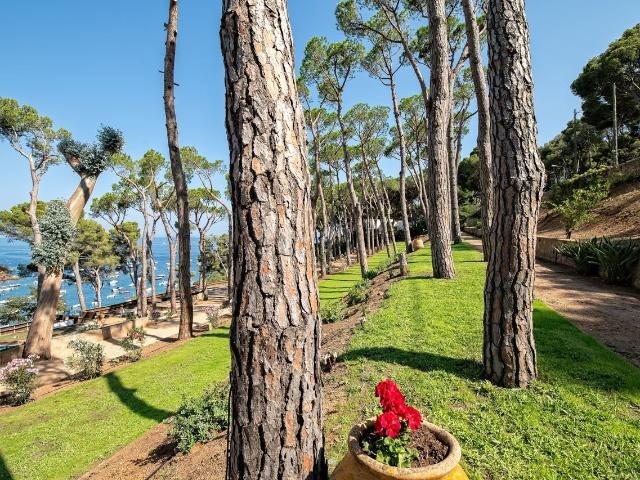 Es Portió espectacular villa, situada en un rincón paradis. 480m² Tamariu
