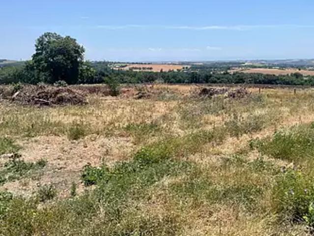 Escalquens 31750 Programme neuf maison neuf à vendre 5 pièces