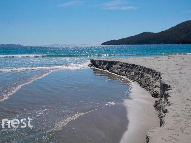 Escape to an Island