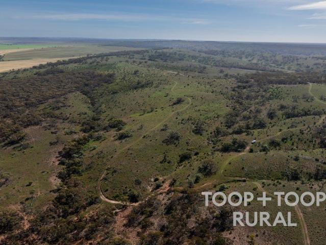 Escape to Open Rural Space