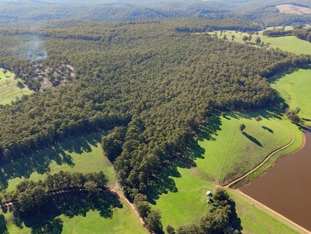 Escape to Nature 105 Acres of Pure Serenity