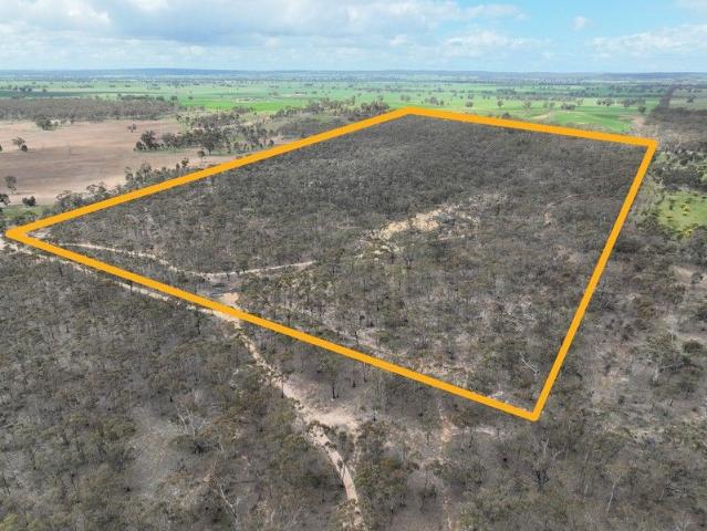 Escape to Nature 80 Acres* of Bushland Bliss near Beazleys Bridge