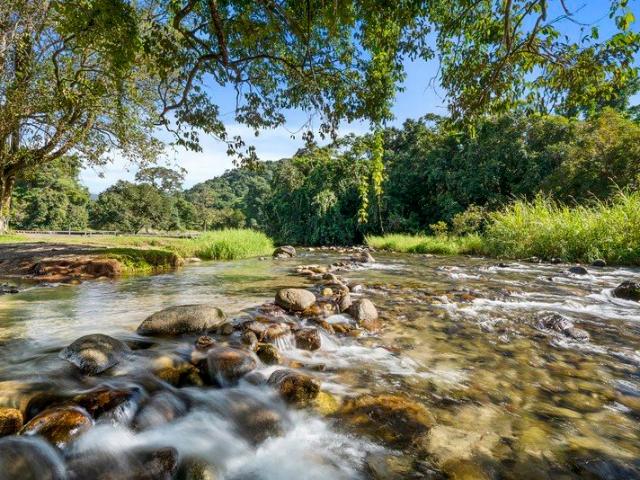 Escape to Peace, Privacy and Spectacular Views at Bellenden Ker.