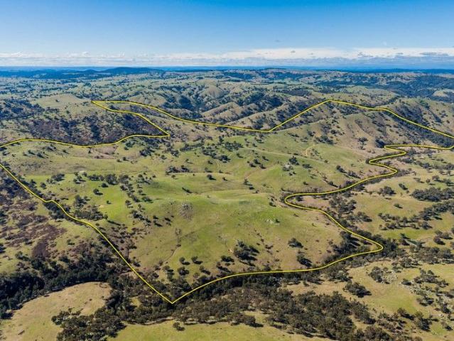 Escape to the Hills