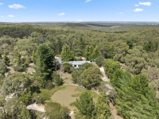 Acreage Opportunity with Shed, Dam & Home