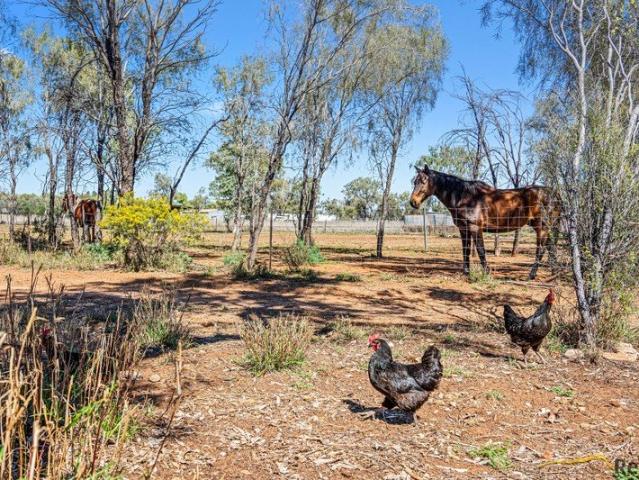 Escape to Your Own 2 Hectare Rural Oasis!