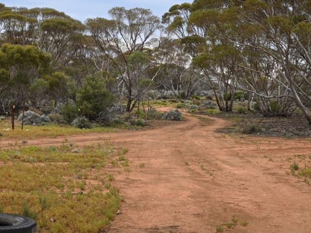 ESCAPE THE NOISE 343 ACRES OF PEACE, SPACE & POSSIBILITIES