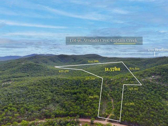 Escape the Noise 78 Acres of Absolute Privacy with Spectacular Hilltop Views