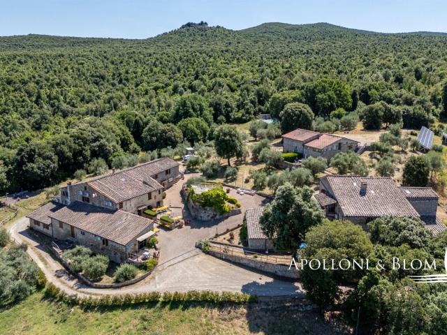 Esclusivo borgo adibito a struttura ricettiva Monteriggion. 851m² Monteriggioni