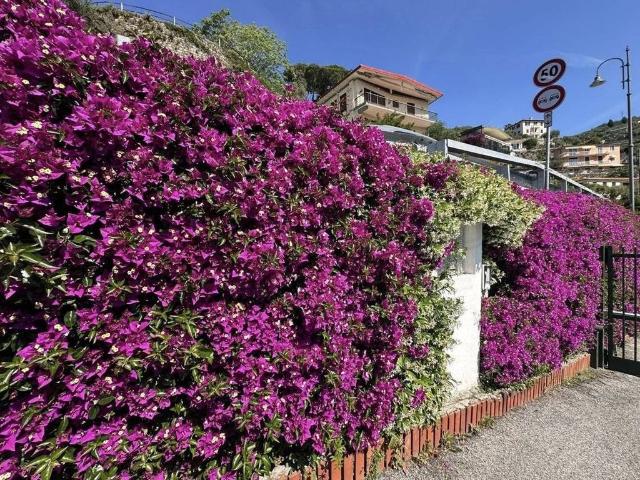 Esclusiva villa di 141 mq in vendita Via Marina Bardi, Zoagli, Genova, Liguria