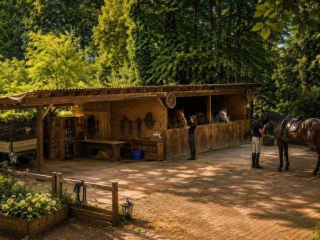 Esclusiva villa di 250 mq in vendita Via Lazzaretto, 55, Borgo Ticino, Novara, Piemonte
