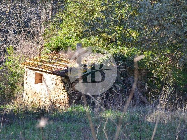 Esclusiva villa di 590 mq in vendita Montescudaio, Toscana