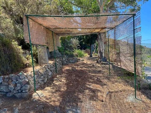 Prestigiosa villa di 99 mq in vendita Via Provinciale Campese, Isola del Giglio, Grosseto, Toscana