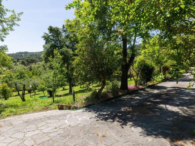 Esclusiva villa in vendita Via Diacciarello, 50, Rosignano Marittimo, Livorno, Toscana