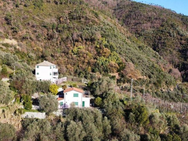 Esclusiva villa in vendita Località Sorlana, 32, Levanto, Liguria