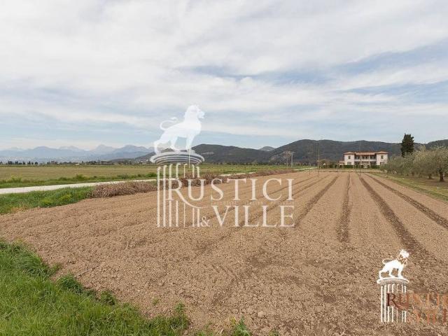 Esclusiva villa in vendita Piazza San Paolo all'Orto, 21, Pisa, Toscana