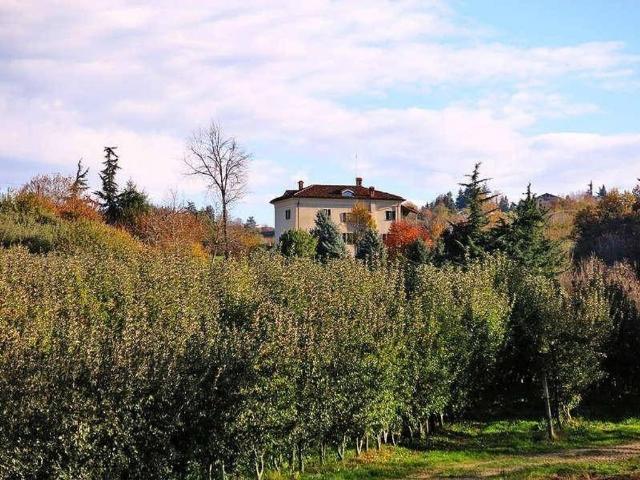 Esclusiva villa in vendita Strada di Racchetto, 8, Mondovì, Piemonte