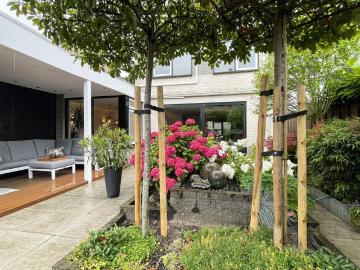 Olland, Meierijstad, Noord-Brabant - IUitgeruste keuken