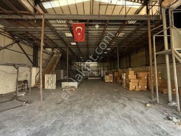 Esenyurt, İstanbul ili, Marmara Bölgesi