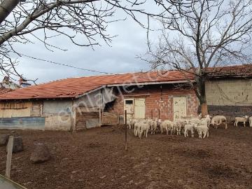 İnönü, Eskişehir, Eskişehir ili, İç Anadolu Bölgesi