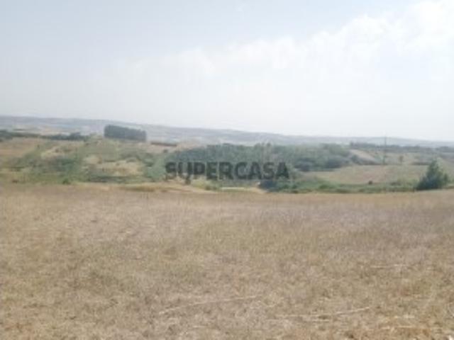 Terreno 3,16 ha na Lourinhã