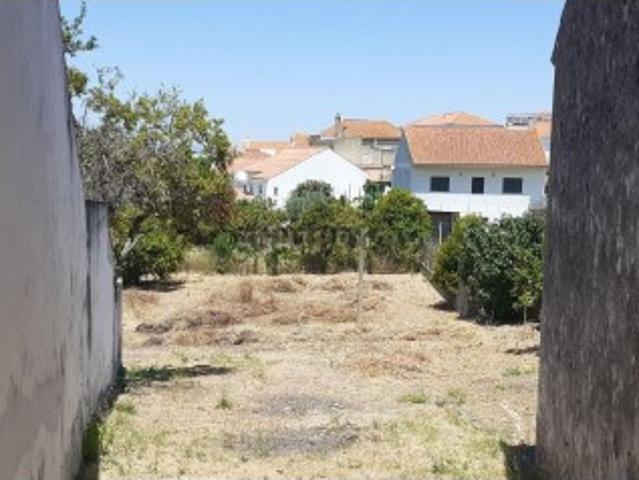 Terreno junto à igreja de Alcanhões, Rua Cidade de Santarém, nº 26