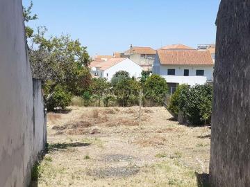 Terreno junto à igreja de Alcanhões, Rua Cidade de Santarém, nº 26