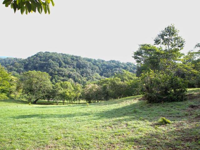 ESPACIO CAMPESTRE