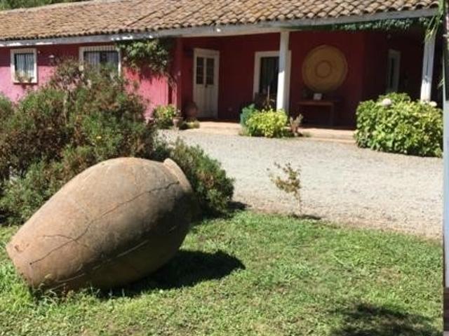 Espectacular casona tradicional de 458 mts2 en 2.5 hcts a 12 kmts. de Linares – Longaví