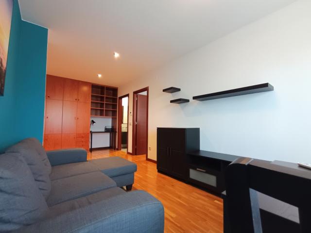 Espectacular apartamento alquiler zona Jove
