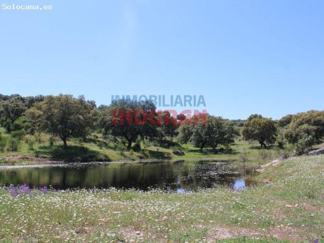 Espectacular Finca Ganadera y Cinegética de 103 ha con 1,5 km de Orilla al Río