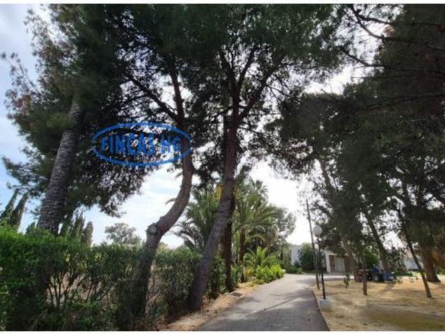 Espectacular finca de 20.775 m2 con chalet a estrenar junto a La Almajada, Muchamiel