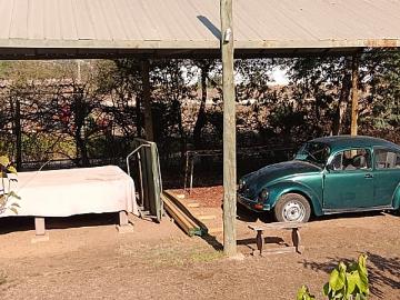 Las Rosas, Olmué, Olmué, Provincia de Marga Marga, Región de Valparaíso