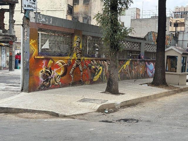 ESPECTACULAR TERRENO EN VENTA CENTRO DE LA CIUDAD