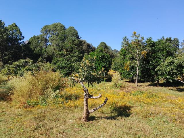 Espectacular Terreno Rustico Rural en las afueras de Valle de Bravo