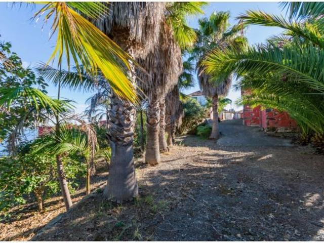 ESPECTACULARES CASITAS CON 1034 M2 DE TERRENO