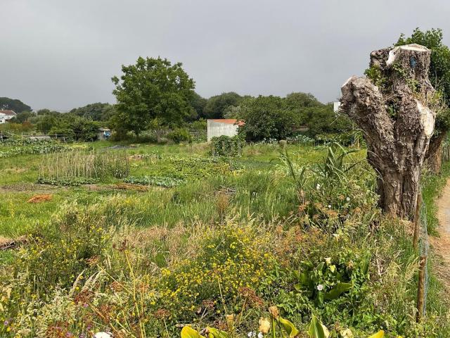 Espetacular Terreno de 572m² em Viana do Castelo