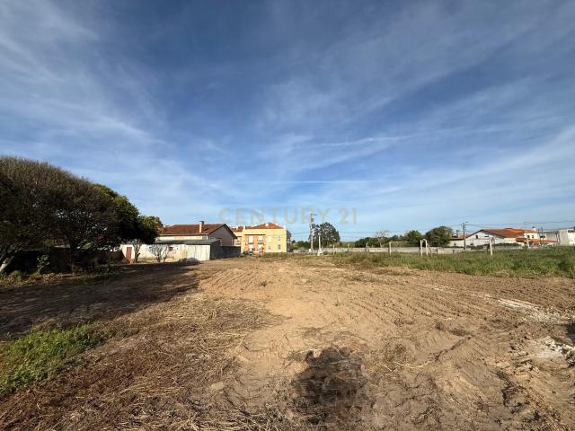 Espetacular Terreno em Ílhavo São Salvador 1291m²