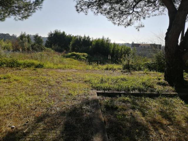Espinho Aveiro 105138321