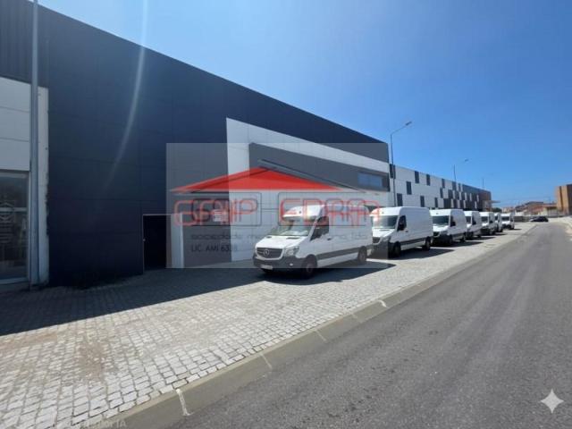 Espinho Espinho 101890045