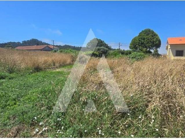 Esposende Esposende LS105294014