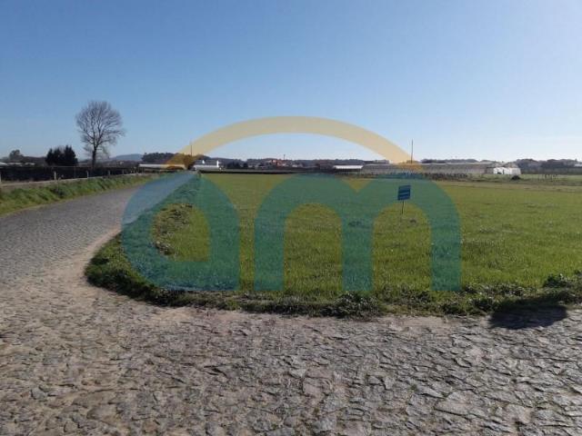 Esposende Esposende 97123785