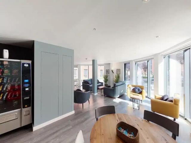 Extra Large Premium Studio