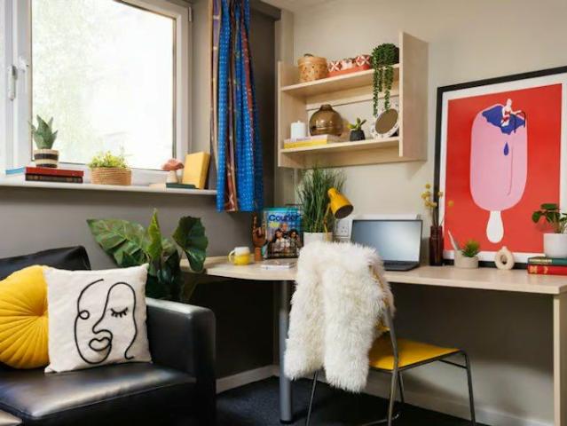 Essential Classic Accessible Studio