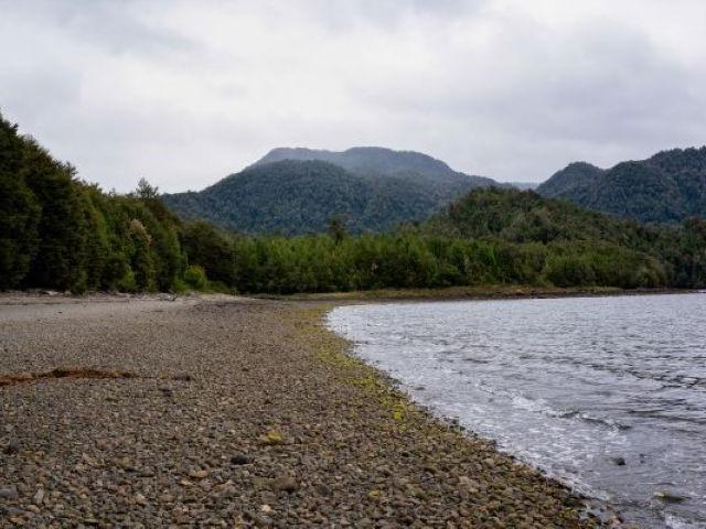 ESTUARIO QUITRALCO / AYSEN / PATAGONIA
