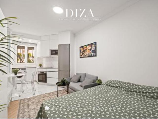 Estudio Alquiler Madrid Capital, Recoletos