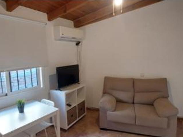 Estudio Alquiler Málaga Capital, Campanillas