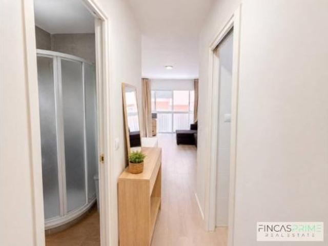Estudio Alquiler Benidorm, Centre