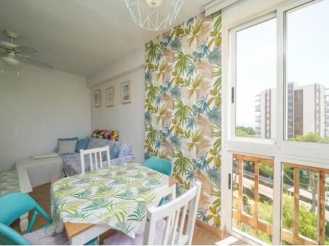 Estudio Alquiler Dolores, Dolores