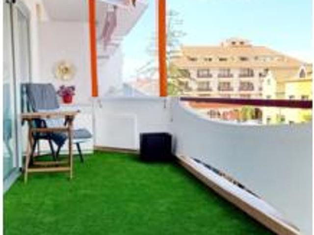 Estudio Alquiler Puerto de la Cruz, El Botánico